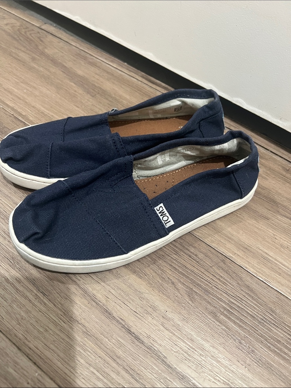 TOMS Navy Canvas Slip-On Loafers for Men
